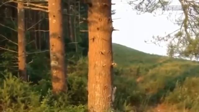 Ba95619dce0a21ecc882a514fd386e6d