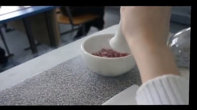 Школа химии и других языков