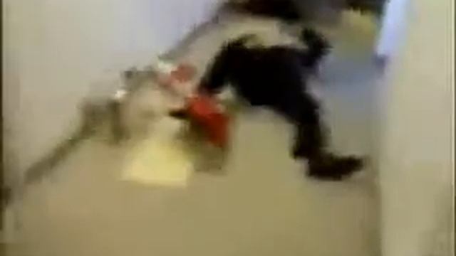 42efb8c452428f22f2cd9930266a73a9