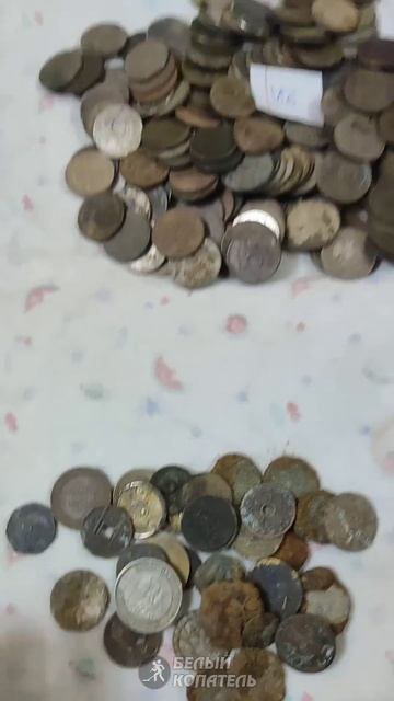 Монеты за 2024 год, колличество и сумма в рублях!