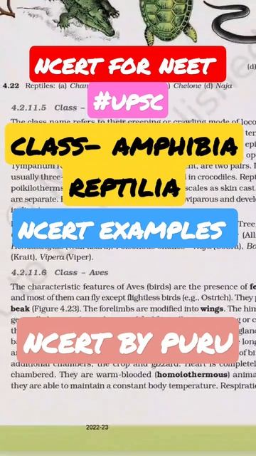 Ncert Examples Of Class Amphibia, Reptilia! #ncert #biology #upsc #neet #ncertbypuru