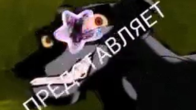 Ищу пару!!!! Условия в описании!!!!