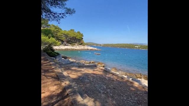 🌎Живая природа,звуки природы,только я и она..😉