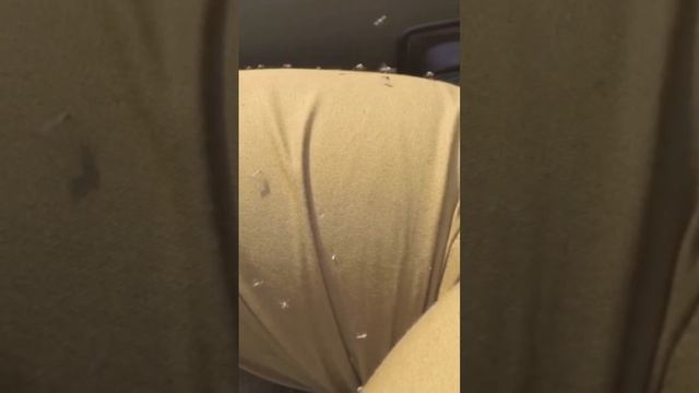 Старые дрожжи 2