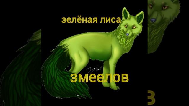 какая ты лиса(лис)