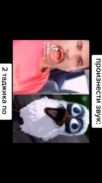 3411bfc22beeeef5bca8a36a34d36faa