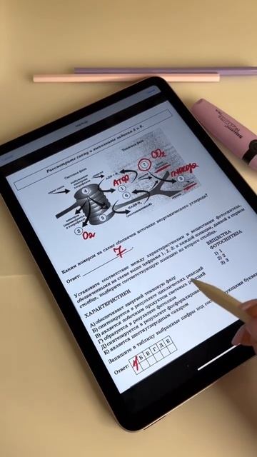 Файл по фотосинтезу в шапке профиля 👉🏻 #егэ #егэбиология #биология #егэ2023