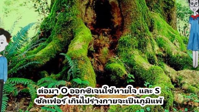 Dc5405c0d1d1c27ca79229d329a13e98