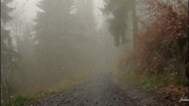 Раслабляющее видио про дождь звуки дождя