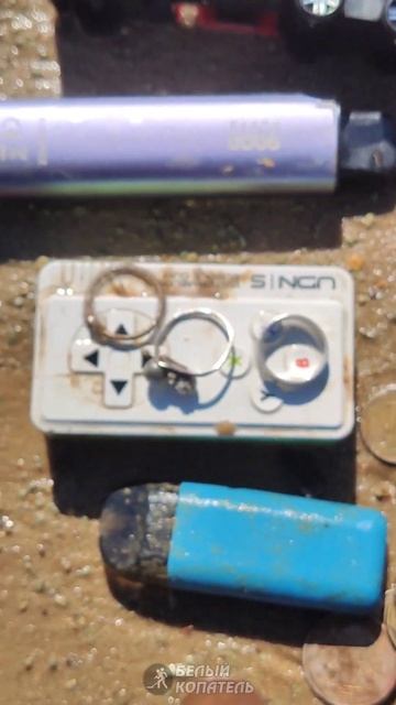 Находки с металлоискателем Minelab Manticore