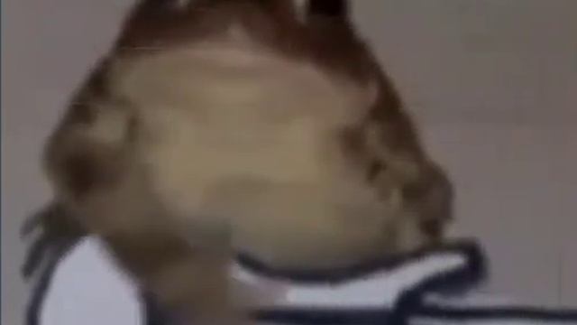 802750abc5b1c4218bbeba5f10debc28