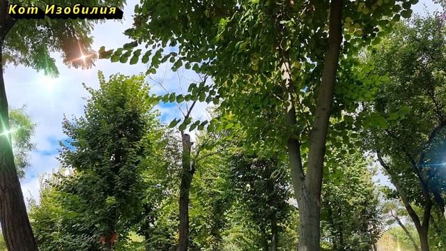 Особенные люди: знаки зодиака, которые имеют внутреннее чутье