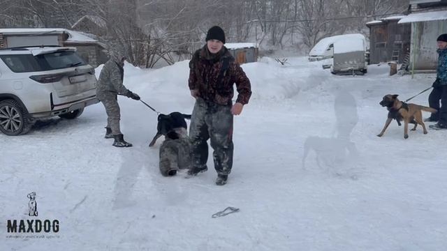 18-19 2025 Бийск