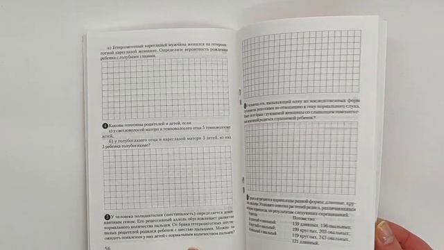 Fd0a5fd24c1ebc62f9eded92a9653571