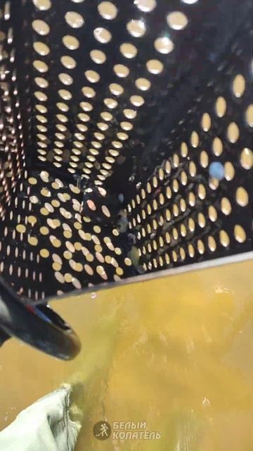 Посмотрите что я нашёл с металлоискателем