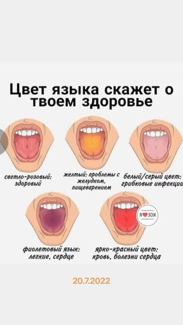 Язык очем можно узнать вот так что