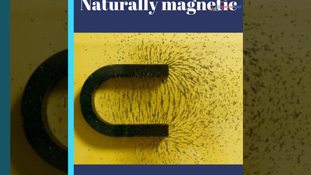 3e58aa82ead1b566937846460be16608