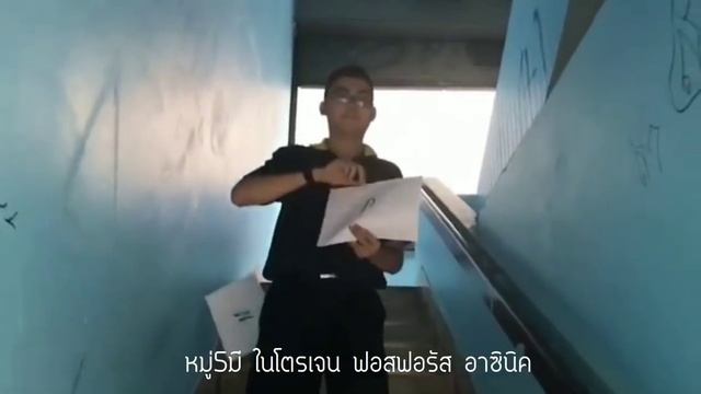 Havana  [ตารางธาตุ Ver.]