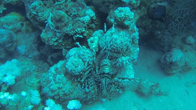 27c4e6c4d36601601250d405d7572350