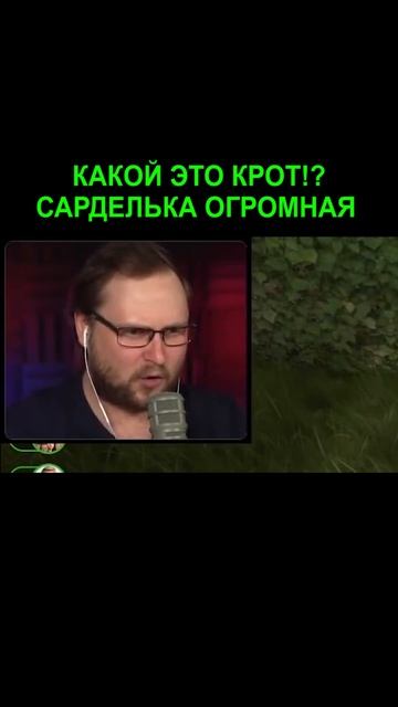 35c4ff6f1f0f75f5ab0fa18a48094756