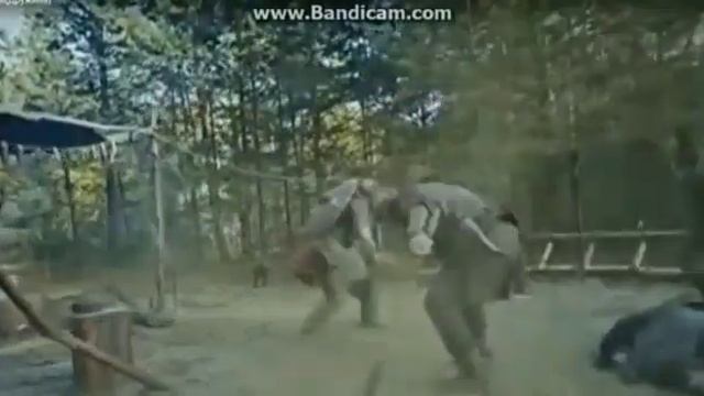 Ансамбль Донская крепость - мы с тобой одной крови  с. Донское