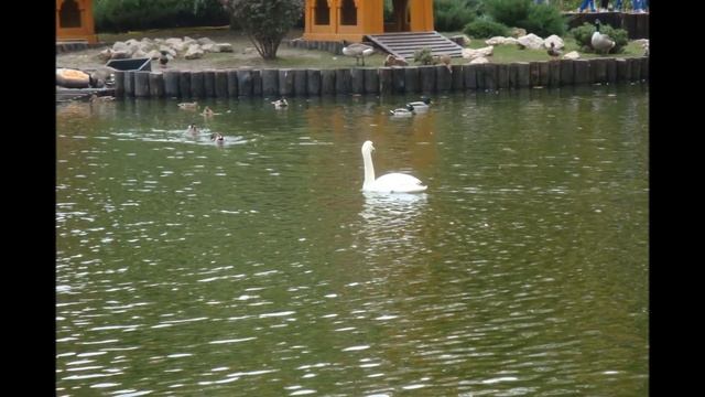 Харьков октябрь 2020