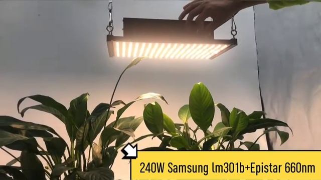 120W Samsung Lm301b 3500k & Osram 660nm LED Quantum Board Grow Ligth For Indoor Plants