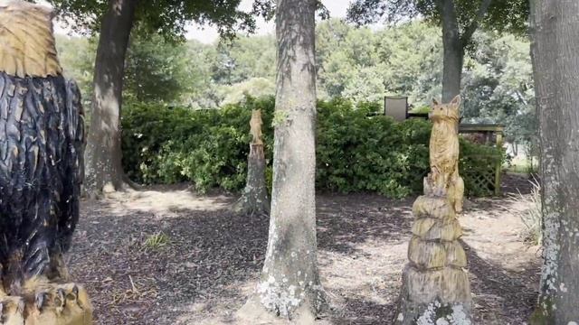 【USA, TEXAS】🇺🇸 DFW Area, Texas | Malakoff_Sunrise Point | Most Comfy Cabin By The Lake