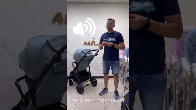 Всесезонная прогулочная коляска Luxmom Siesta с надувными колесами