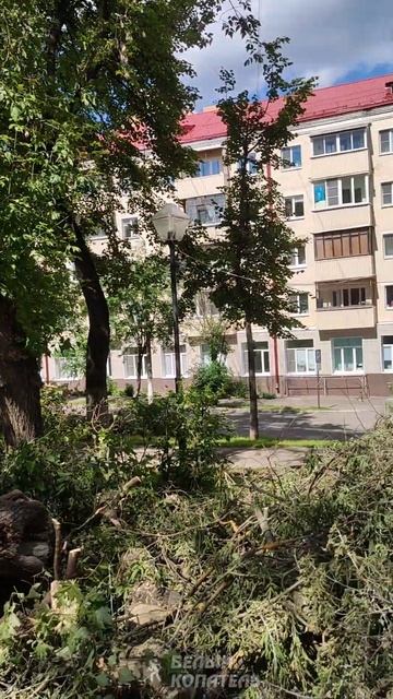 Подольск после урагана Эдгар 21.06.2024