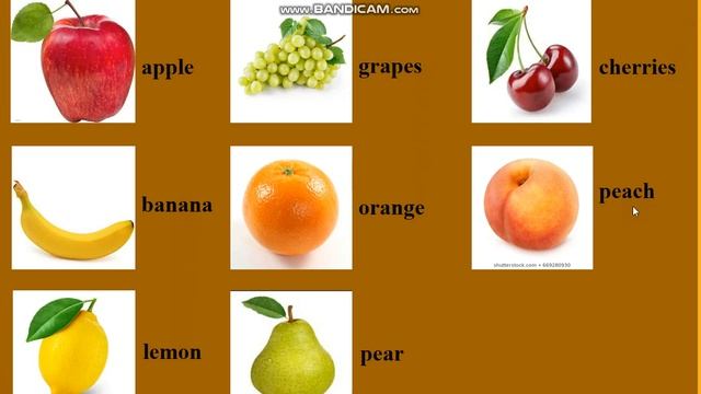 182dba3ac8cbf5f6eff313b71184ebe5