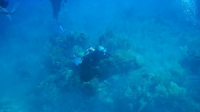 Cuba. Grouper. Jardines De La Reina