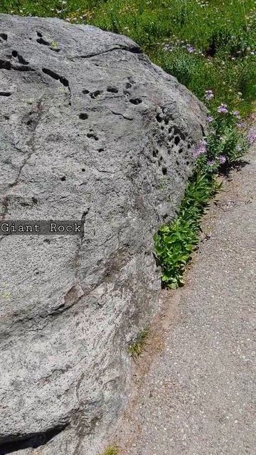 Mt Rainier #1 Of GIANT ROCKS  Series!  Rainier Tallest Mountain In USA.  SEE Description!