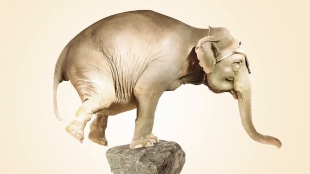 A5e2cd5913db9d2a654311c42cca8ff6