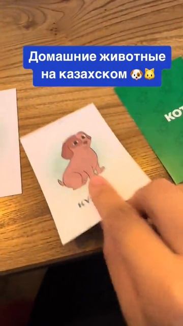 Домашние животные на казахском. Перевод домашних животных на казахский язык #казахскийязык
