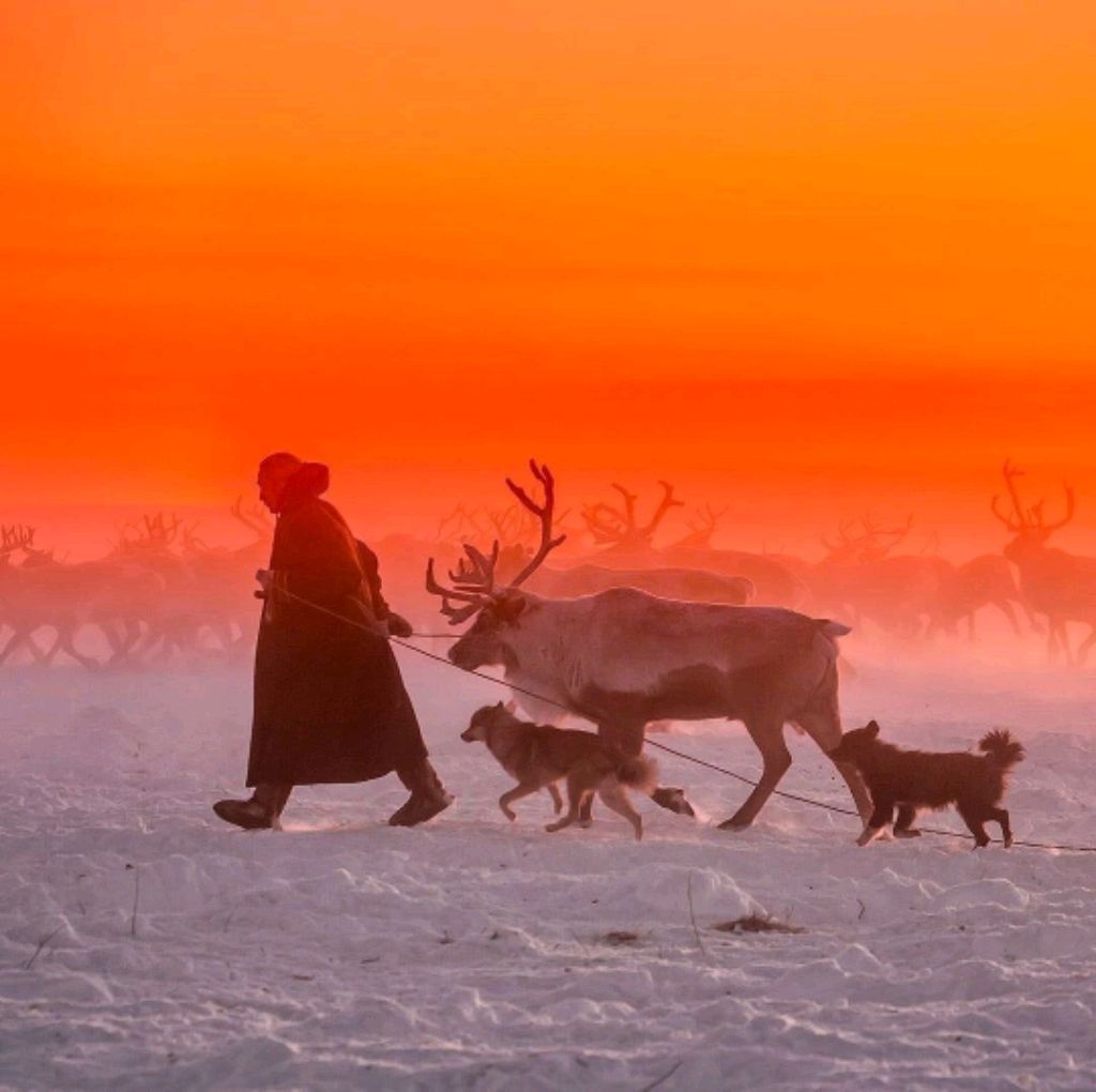Теплые зимние песни