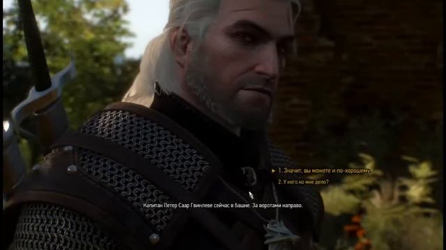 Ведьмак 3: Дикая Охота (The Witcher 3: Wild Hunt) на ПК Часть 4