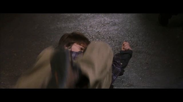 Гаррі Поттер в зоопарку розмовляє зі змією вперше (він ще не знає, що він чаклун і парселмовець)