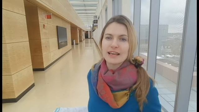 Как спланировать изучение английского языка? Личный опыт