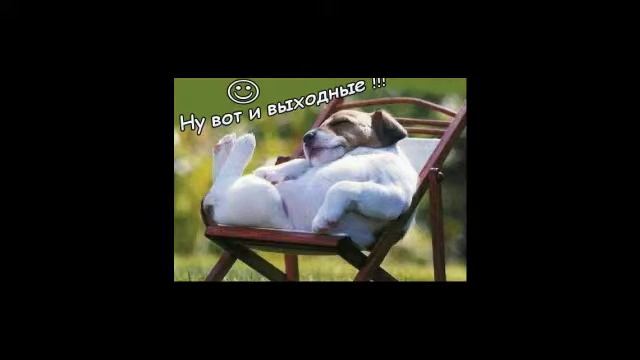 Музыка юбилей