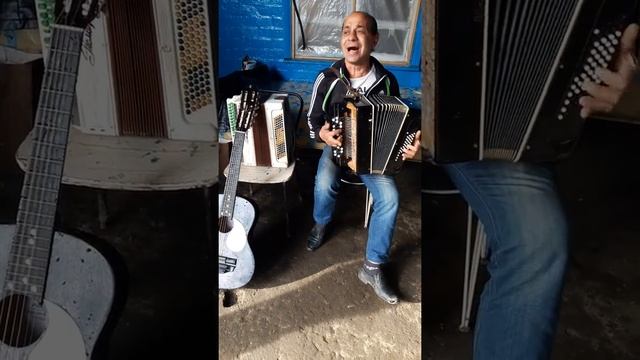 Трудобеликовский цыган играет на баяне