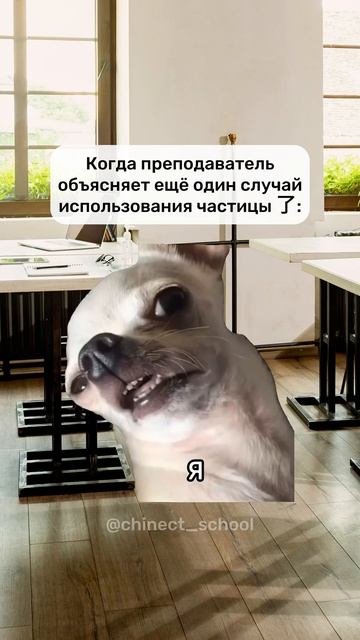 Когда преподаватель объясняет ещё один случай использования 了 #shorts #китайский #Китай