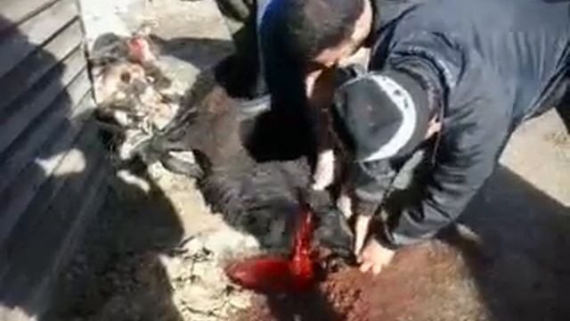 Курбан байрам