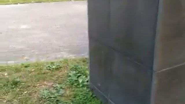 Lhasa Apso Black 20110419 @ New Taipei