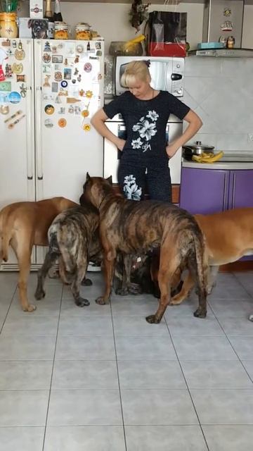 51256f3424a827cde7ac393cd73f477e