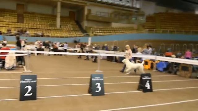 C9d76c337878def8437bf4d2849566b2