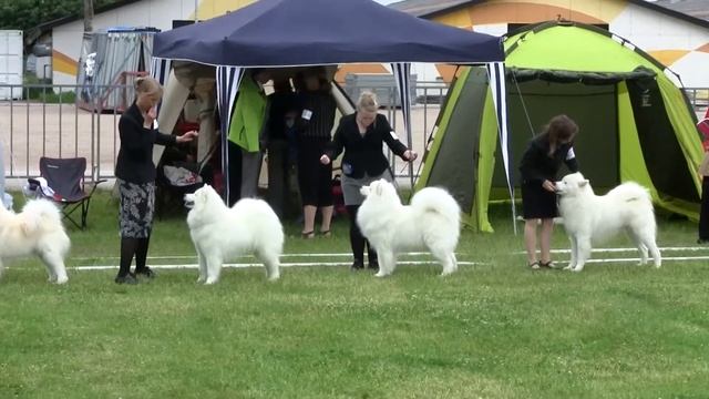 A5dc079a17b62669b877b2ce806273a7