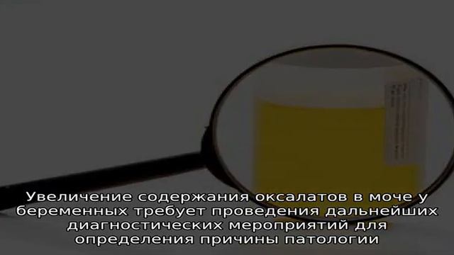 Соли оксалаты в моче при беременности