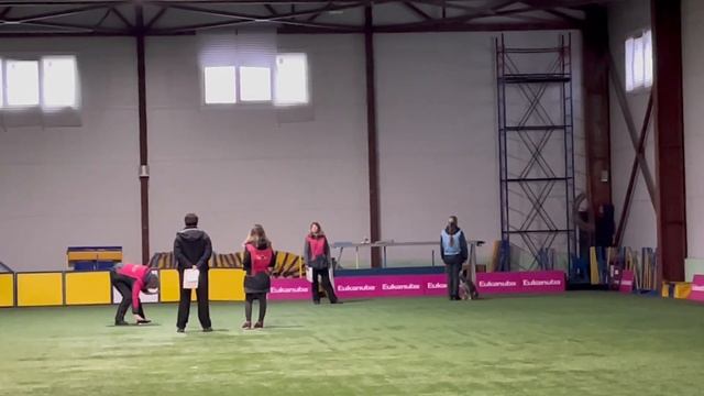 Хилер Пирог обд-2 207 баллов