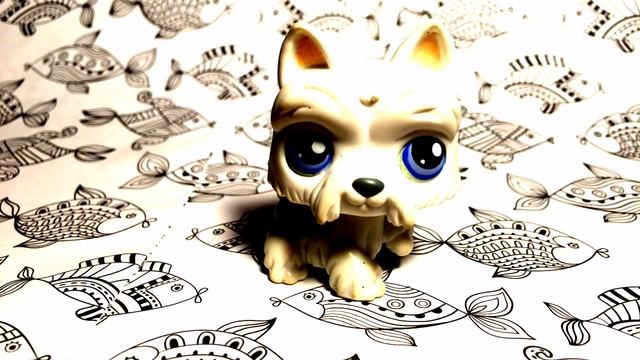 Моя коллекция lps 2015 (у Спаркли появилась страничка вк, читать описание)